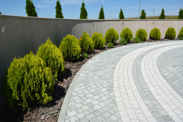 Reasons to Select Us for Your Driveway Paving Requirements in Emeryville, CA